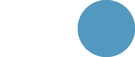 Our Mission & Vision for the Digital Future