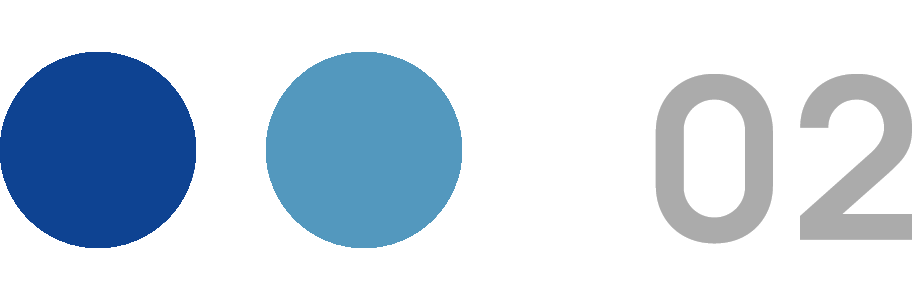 ⚙️ Custom AI Tools & Solutions